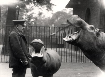 Bobbie e Joan, 1923 da Frederick William Bond